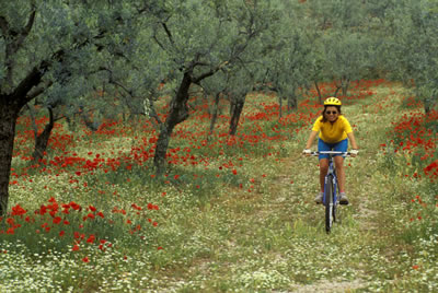 Biking through flowers and trees