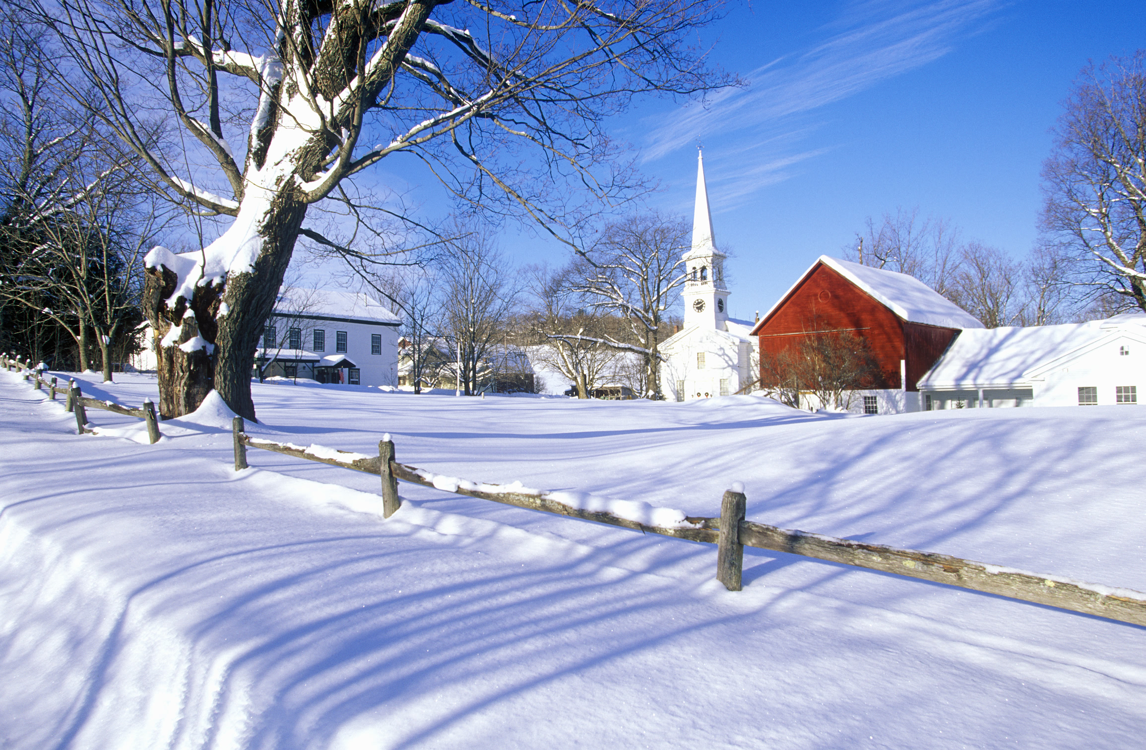 Snowed In