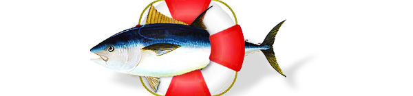 Fish in float